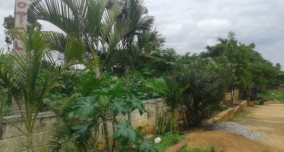 S V Patel Deluxe Lodge, Mysore 3